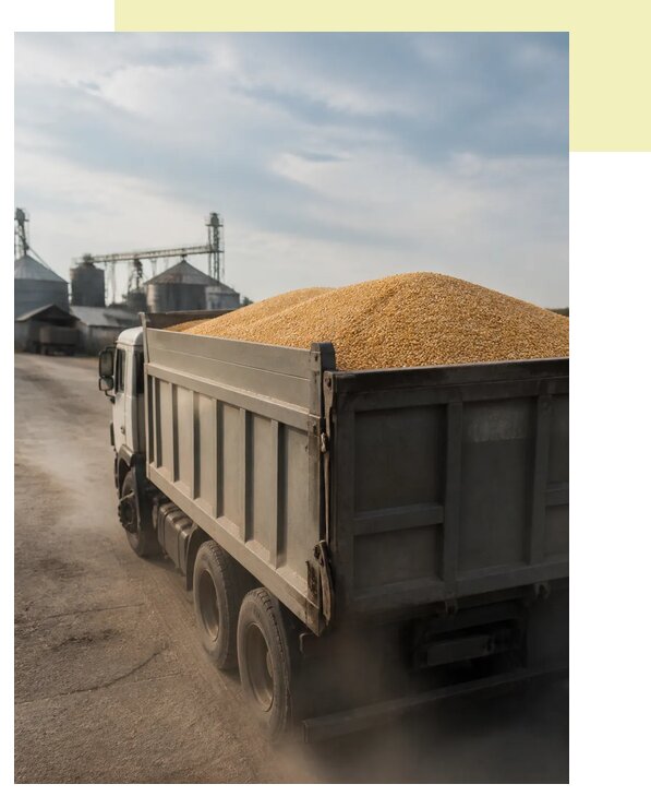 Перевозка сельхозпродукции навалом в Невинномысск по цене от 3069 р. | Агросервис-Нвн